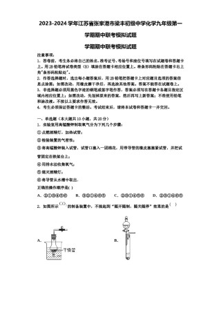 2023-2024学年江苏省张家港市梁丰初级中学化学九年级第一学期期中联考模拟试题含解析.doc