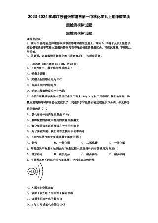 2023-2024学年江苏省张家港市第一中学化学九上期中教学质量检测模拟试题含解析.doc