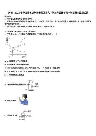 2023-2024学年江苏省徐州市云龙区第九中学九年级化学第一学期期末监测试题含解析.doc