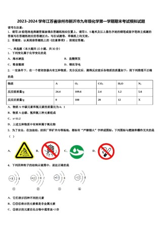 2023-2024学年江苏省徐州市新沂市九年级化学第一学期期末考试模拟试题含解析.doc