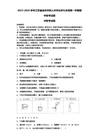 2023-2024学年江苏省徐州市树人中学化学九年级第一学期期中联考试题含解析.doc