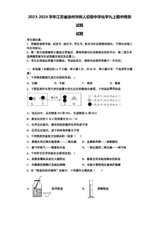 2023-2024学年江苏省徐州市树人初级中学化学九上期中预测试题含解析.doc