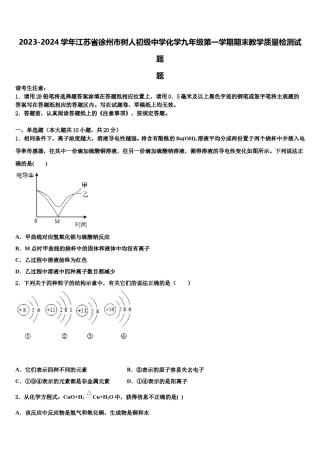 2023-2024学年江苏省徐州市树人初级中学化学九年级第一学期期末教学质量检测试题含解析.doc
