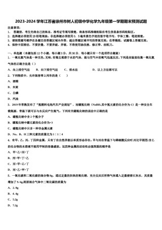 2023-2024学年江苏省徐州市树人初级中学化学九年级第一学期期末预测试题含解析.doc