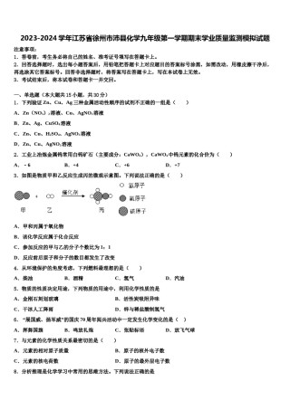 2023-2024学年江苏省徐州市沛县化学九年级第一学期期末学业质量监测模拟试题含解析.doc