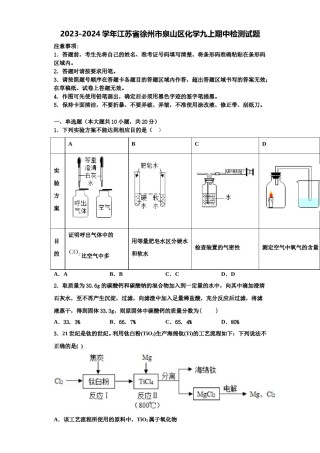 2023-2024学年江苏省徐州市泉山区化学九上期中检测试题含解析.doc