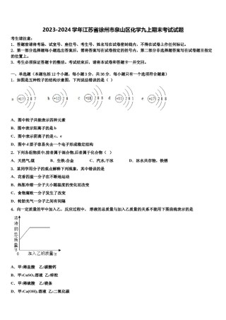 2023-2024学年江苏省徐州市泉山区化学九上期末考试试题含解析.doc