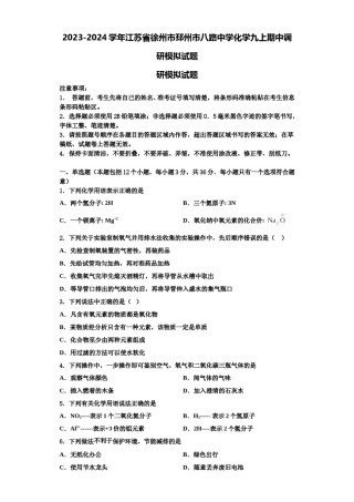 2023-2024学年江苏省徐州市邳州市八路中学化学九上期中调研模拟试题含解析.doc