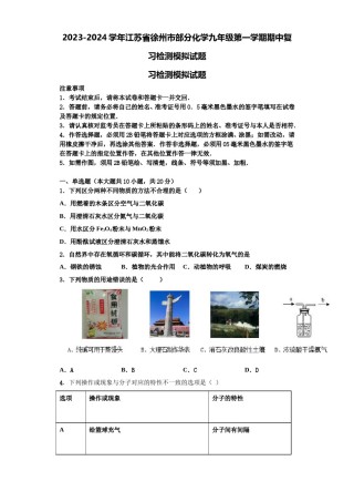 2023-2024学年江苏省徐州市部分化学九年级第一学期期中复习检测模拟试题含解析.doc
