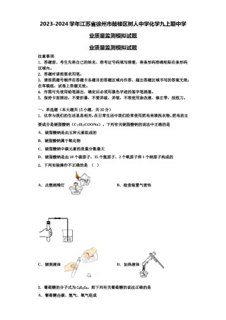2023-2024学年江苏省徐州市鼓楼区树人中学化学九上期中学业质量监测模拟试题含解析.doc
