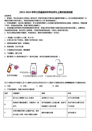 2023-2024学年江苏省扬州中学化学九上期末监测试题含解析.doc