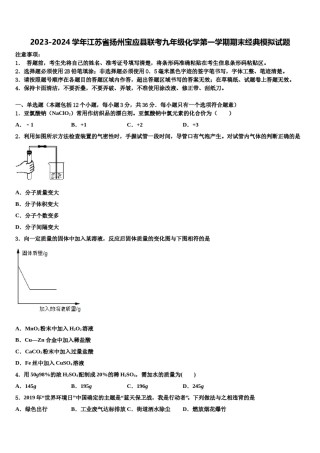 2023-2024学年江苏省扬州宝应县联考九年级化学第一学期期末经典模拟试题含解析.doc