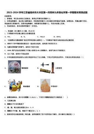 2023-2024学年江苏省扬州市大丰区第一共同体九年级化学第一学期期末预测试题含解析.doc
