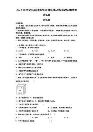 2023-2024学年江苏省扬州市广陵区树人学校化学九上期中检测试题含解析.doc