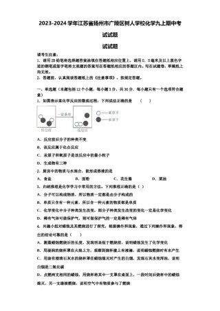 2023-2024学年江苏省扬州市广陵区树人学校化学九上期中考试试题含解析.doc
