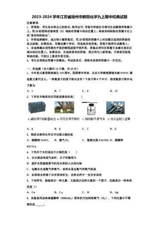 2023-2024学年江苏省扬州市教院化学九上期中经典试题含解析.doc