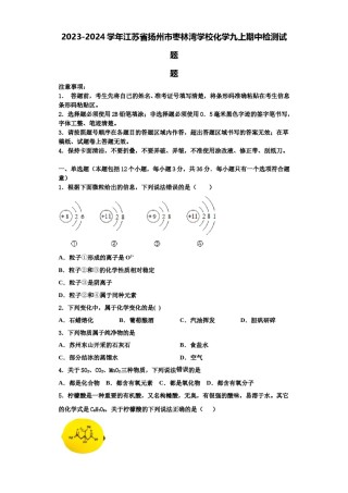 2023-2024学年江苏省扬州市枣林湾学校化学九上期中检测试题含解析.doc