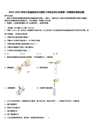 2023-2024学年江苏省扬州市江都区十学校化学九年级第一学期期末调研试题含解析.doc