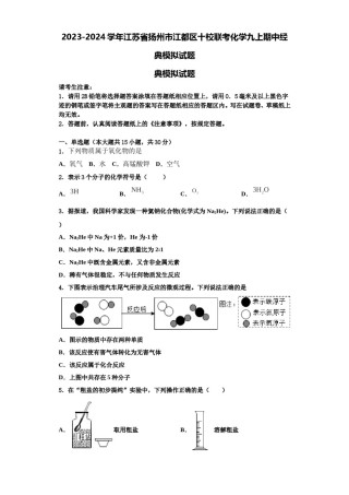2023-2024学年江苏省扬州市江都区十校联考化学九上期中经典模拟试题含解析.doc