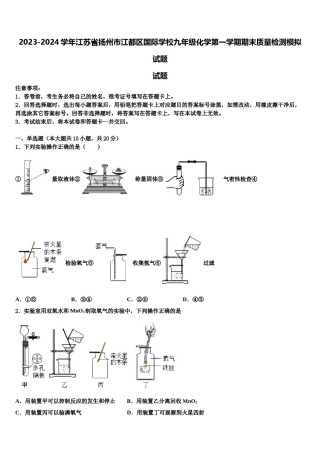 2023-2024学年江苏省扬州市江都区国际学校九年级化学第一学期期末质量检测模拟试题含解析.doc