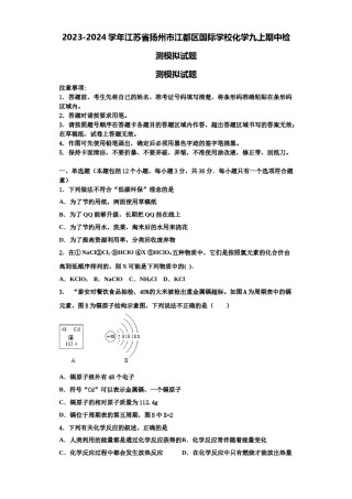 2023-2024学年江苏省扬州市江都区国际学校化学九上期中检测模拟试题含解析.doc