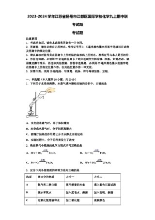 2023-2024学年江苏省扬州市江都区国际学校化学九上期中联考试题含解析.doc