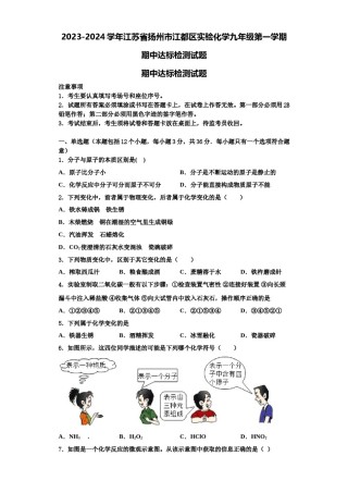 2023-2024学年江苏省扬州市江都区实验化学九年级第一学期期中达标检测试题含解析.doc