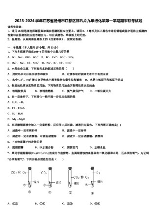 2023-2024学年江苏省扬州市江都区邵凡片九年级化学第一学期期末联考试题含解析.doc