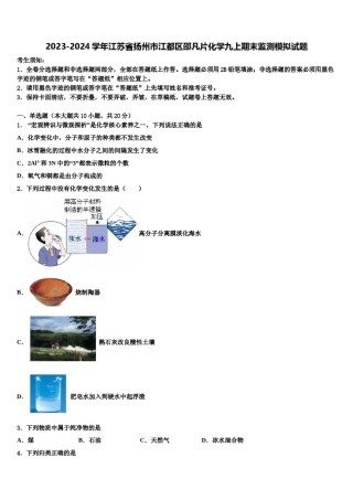 2023-2024学年江苏省扬州市江都区邵凡片化学九上期末监测模拟试题含解析.doc