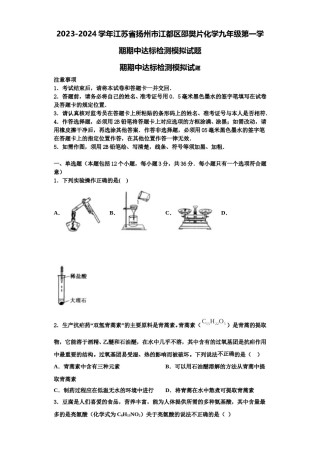 2023-2024学年江苏省扬州市江都区邵樊片化学九年级第一学期期中达标检测模拟试题含解析.doc