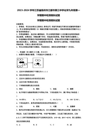2023-2024学年江苏省扬州市江都市第三中学化学九年级第一学期期中检测模拟试题含解析.doc