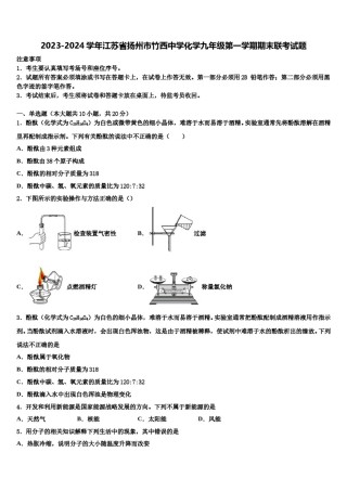 2023-2024学年江苏省扬州市竹西中学化学九年级第一学期期末联考试题含解析.doc