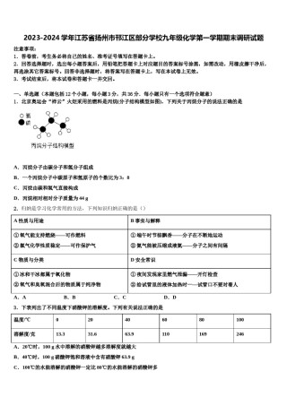 2023-2024学年江苏省扬州市邗江区部分学校九年级化学第一学期期末调研试题含解析.doc