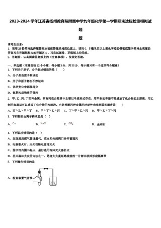 2023-2024学年江苏省扬州教育院附属中学九年级化学第一学期期末达标检测模拟试题含解析.doc