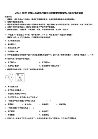 2023-2024学年江苏省扬州教育院附属中学化学九上期末考试试题含解析.doc