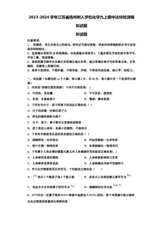 2023-2024学年江苏省扬州树人学校化学九上期中达标检测模拟试题含解析.doc