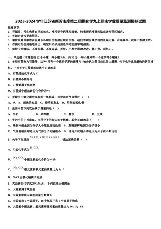 2023-2024学年江苏省新沂市度第二期期化学九上期末学业质量监测模拟试题含解析.doc
