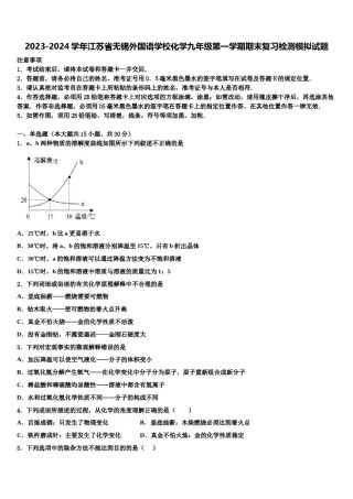 2023-2024学年江苏省无锡外国语学校化学九年级第一学期期末复习检测模拟试题含解析.doc