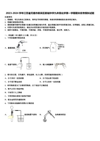 2023-2024学年江苏省无锡市新吴区新城中学九年级化学第一学期期末统考模拟试题含解析.doc