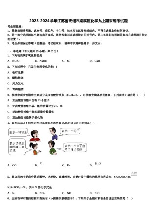 2023-2024学年江苏省无锡市梁溪区化学九上期末统考试题含解析.doc