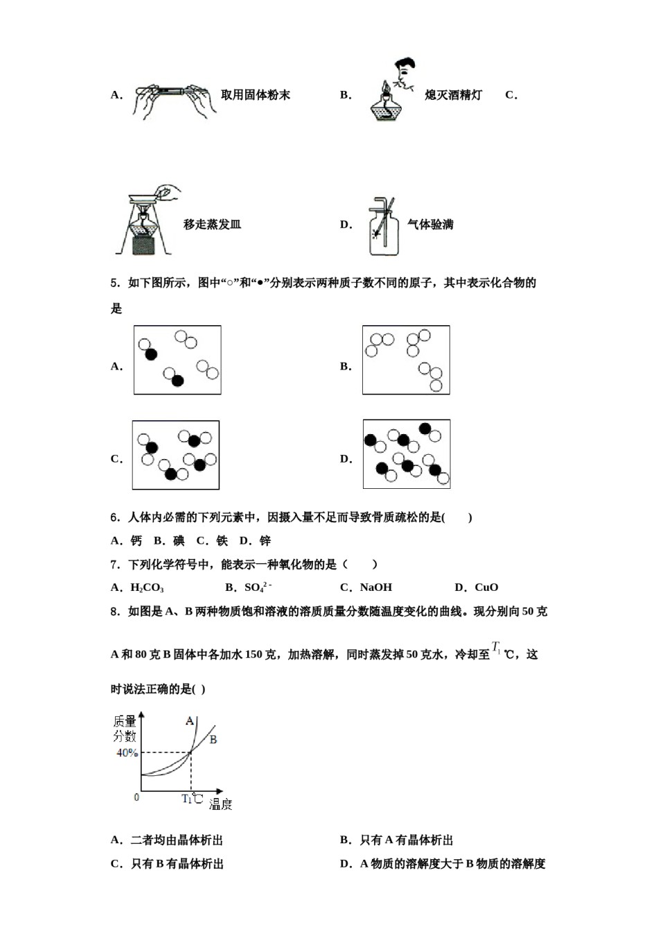 2023-2024学年江苏省无锡市江阴市南闸实验学校九年级化学第一学期期中检测模拟试题含解析.doc_第2页