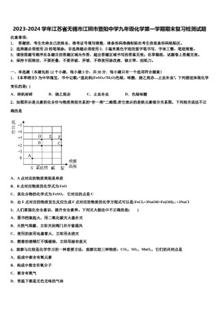 2023-2024学年江苏省无锡市江阴市暨阳中学九年级化学第一学期期末复习检测试题含解析.doc