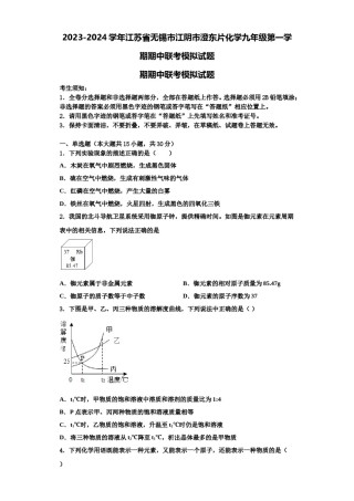 2023-2024学年江苏省无锡市江阴市澄东片化学九年级第一学期期中联考模拟试题含解析.doc