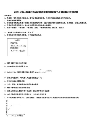 2023-2024学年江苏省无锡市河塘中学化学九上期末复习检测试题含解析.doc