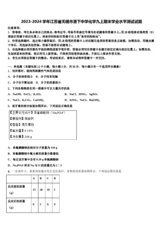 2023-2024学年江苏省无锡市港下中学化学九上期末学业水平测试试题含解析.doc