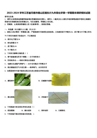 2023-2024学年江苏省无锡市锡山区锡东片九年级化学第一学期期末调研模拟试题含解析.doc