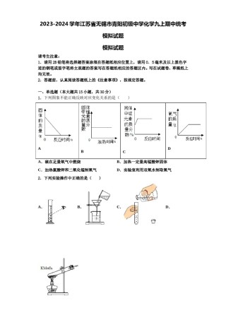 2023-2024学年江苏省无锡市青阳初级中学化学九上期中统考模拟试题含解析.doc
