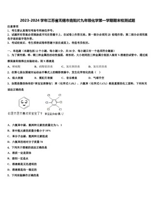 2023-2024学年江苏省无锡市青阳片九年级化学第一学期期末检测试题含解析.doc