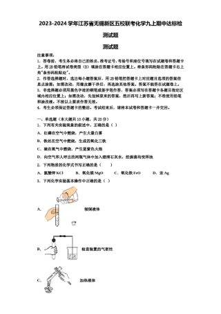 2023-2024学年江苏省无锡新区五校联考化学九上期中达标检测试题含解析.doc