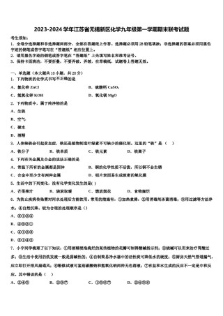 2023-2024学年江苏省无锡新区化学九年级第一学期期末联考试题含解析.doc